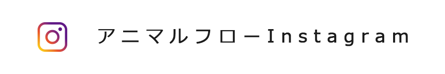 Instagramオフィシャル画像